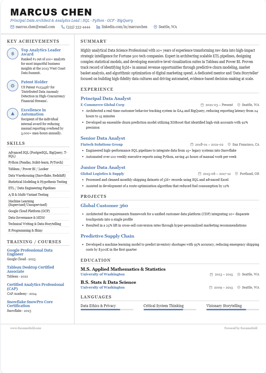 Executive Sidebar resume template preview