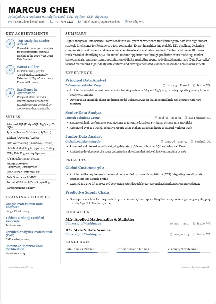 Executive Sidebar resume template preview